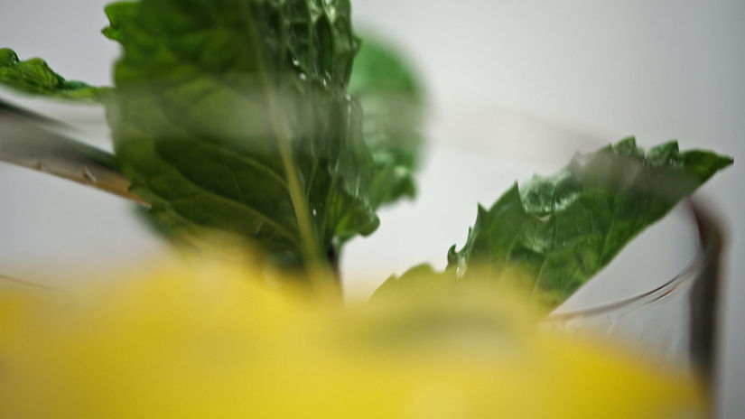 MONIN "Crush Product"